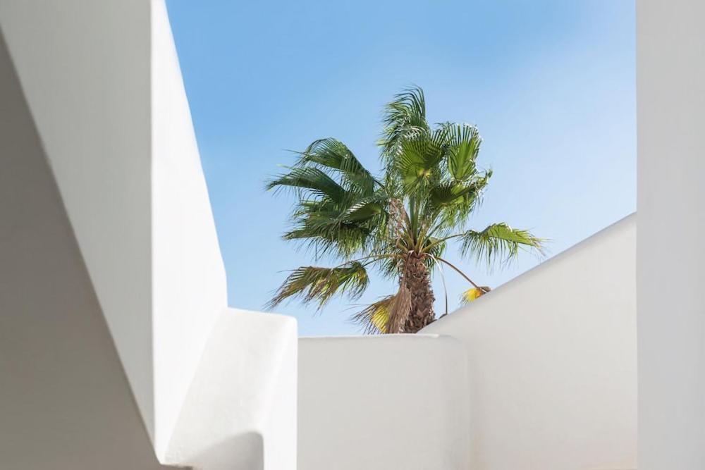 Ocean Suites Aparthotel Platja d'en Bossa